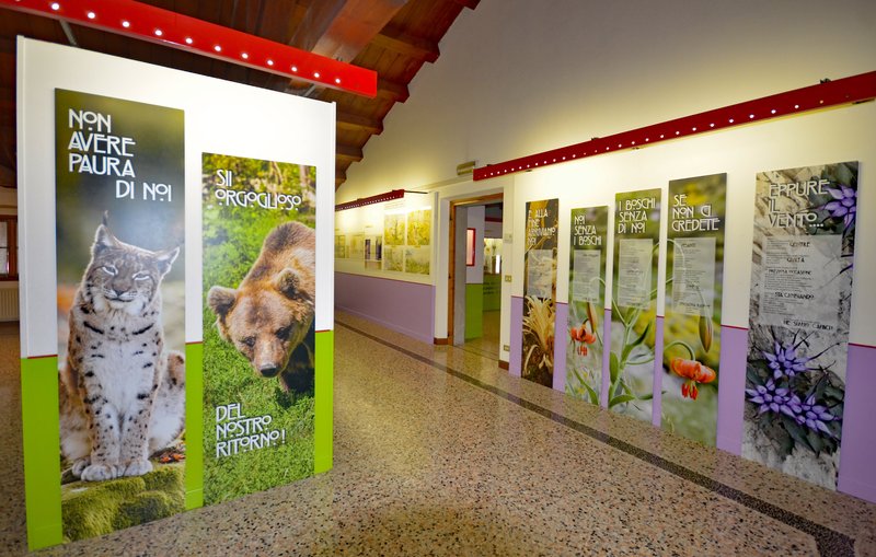 BOSC Piccolo Museo Naturalistico